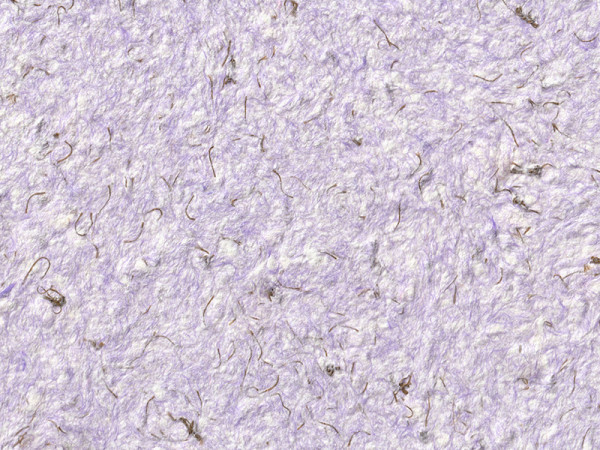 Жидкие обои Стиль Тип 129