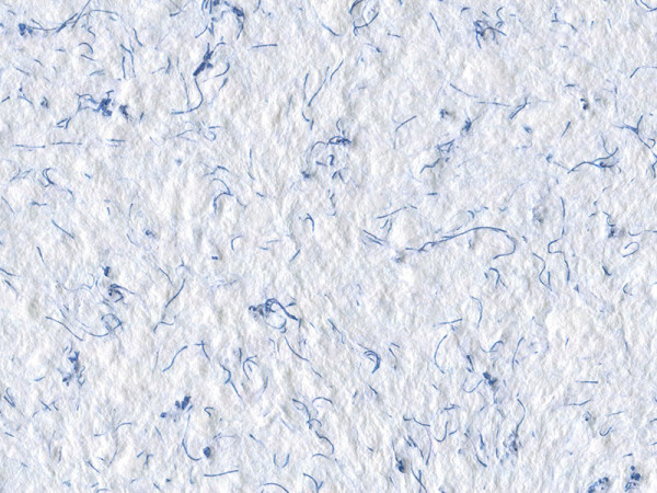 Жидкие обои Стиль Тип 13