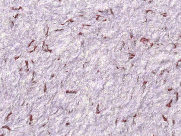 Жидкие обои Стиль Тип 142