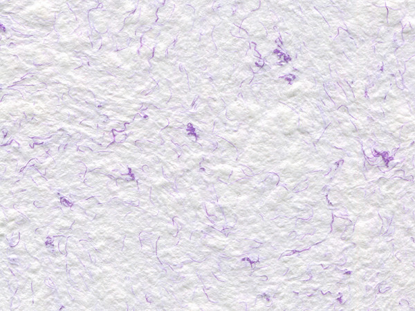 Рідкі шпалери Стиль Тип 17