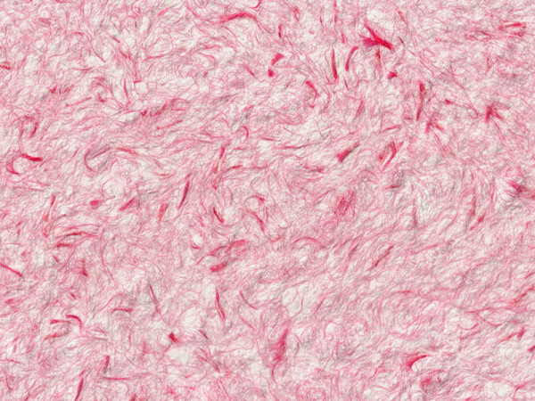 Жидкие обои Стиль Тип 235