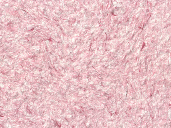 Жидкие обои Стиль Тип 263