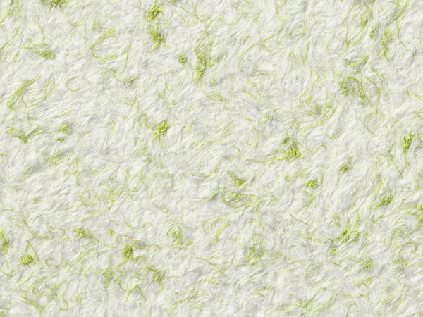 Рідкі шпалери Стиль Тип 29