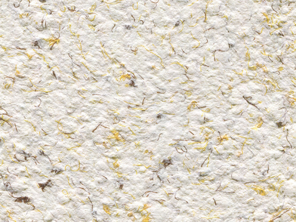 Рідкі шпалери Стиль Тип 4