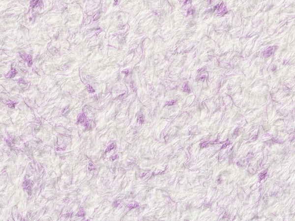 Рідкі шпалери Стиль Тип 55