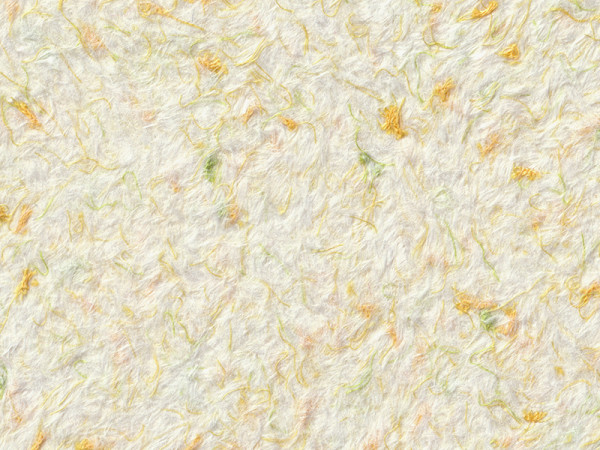 Рідкі шпалери Стиль Тип 79