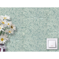 Жидкие обои Стиль Тип 300